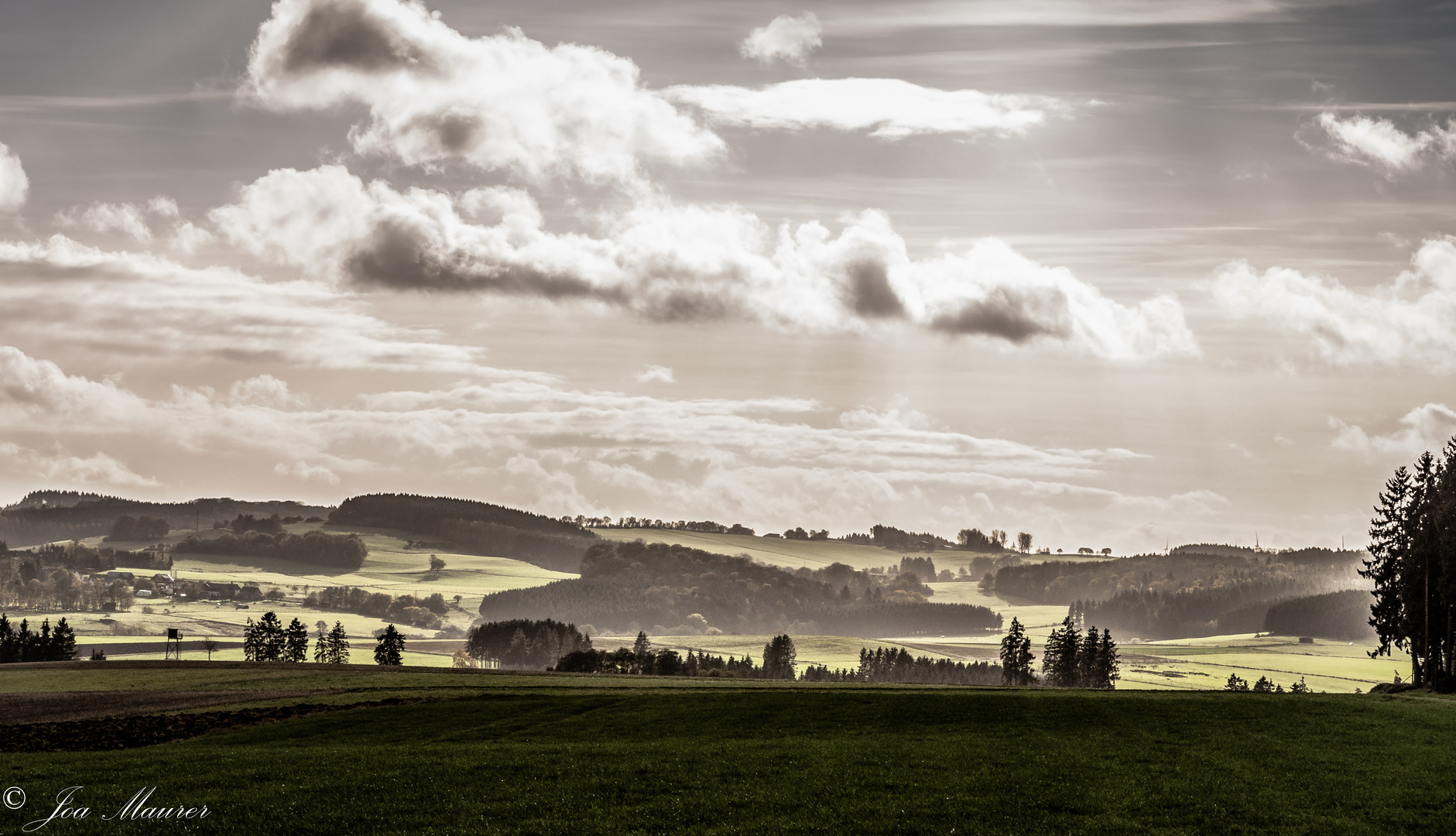 Herbsteifel