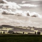 Herbsteifel