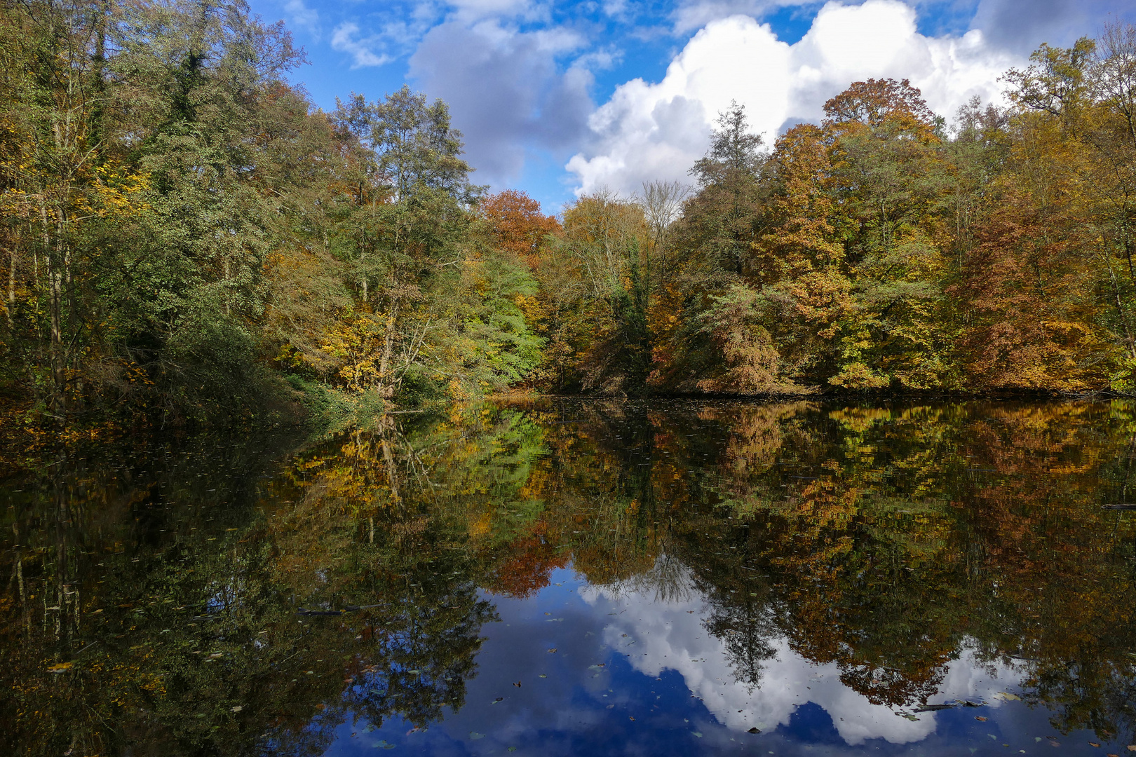 Herbsteinblicke (1)