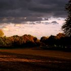 Herbsteindruck vom Lande