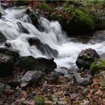 Herbsteindrücke