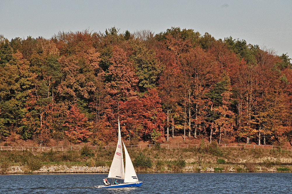 Herbsteindrücke am Drachensee bei Furth im Wald