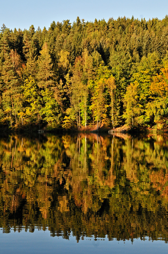 Herbsteindrücke am Höllensteinsee