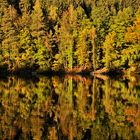 Herbsteindrücke am Höllensteinsee