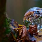 Herbsteindrücke aus der Glaskugel