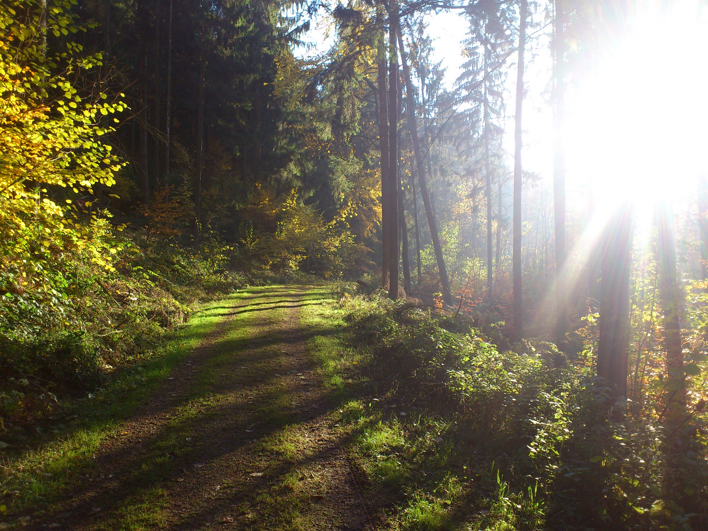 Herbsteindrücke