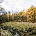 Herbsteindrücke entlang des Pingenpfads (Heiligenwald/Saarland)