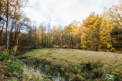 Herbsteindrücke entlang des Pingenpfads (Heiligenwald/Saarland)