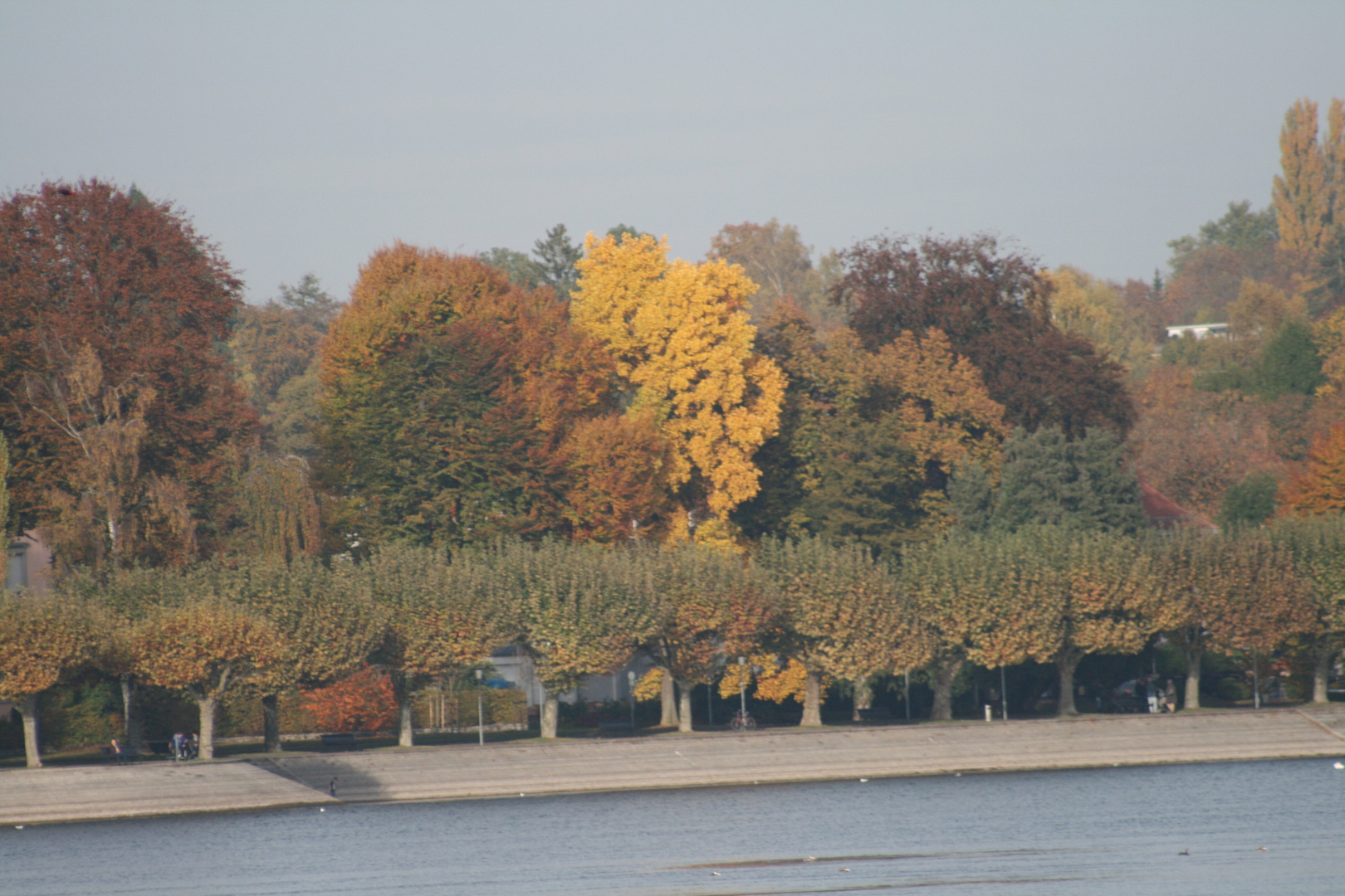 Herbsteinzug nach Konstanz