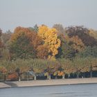 Herbsteinzug nach Konstanz