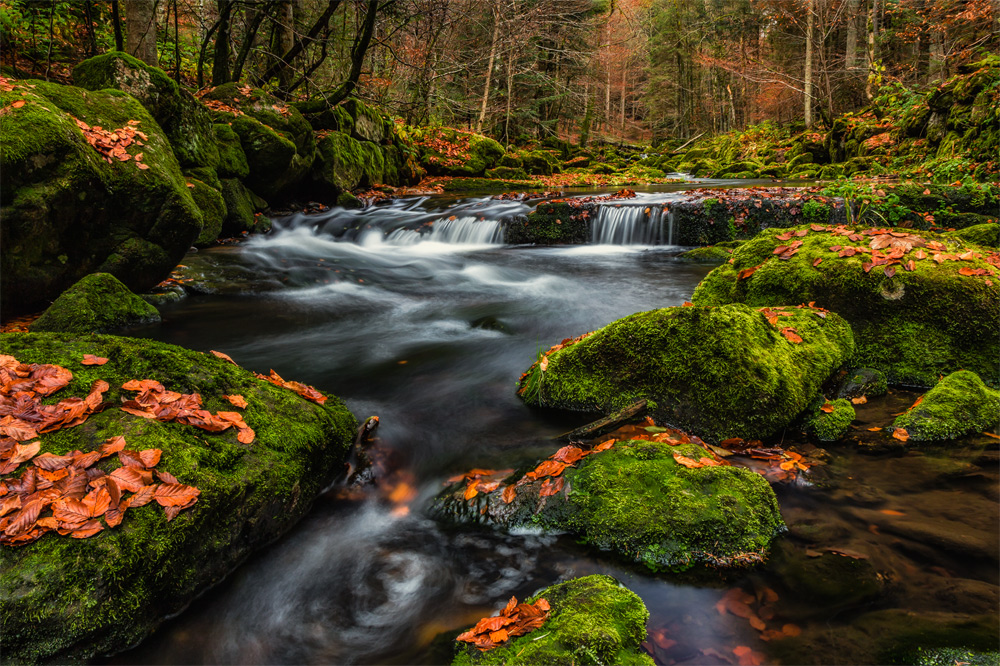 Herbstelixier