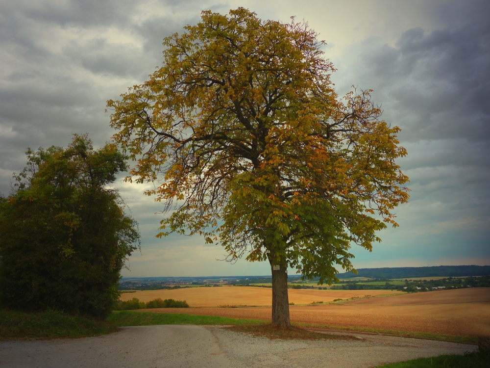 herbsteln im Kraichgau.......