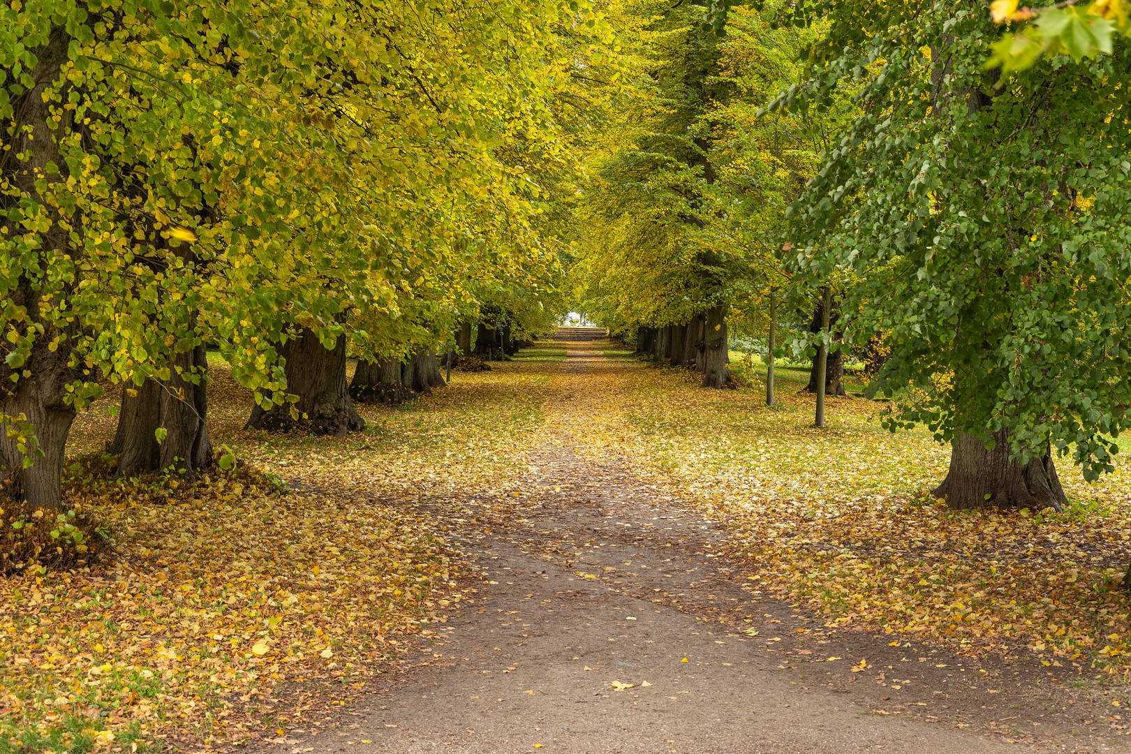 Herbstemotionen