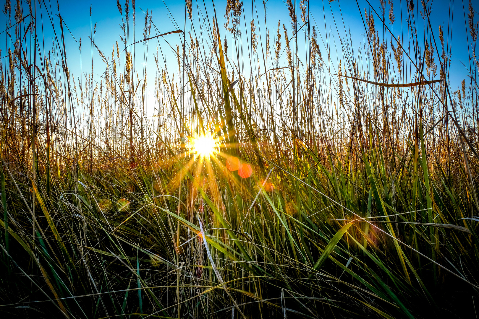 Herbst_Erstrahlen