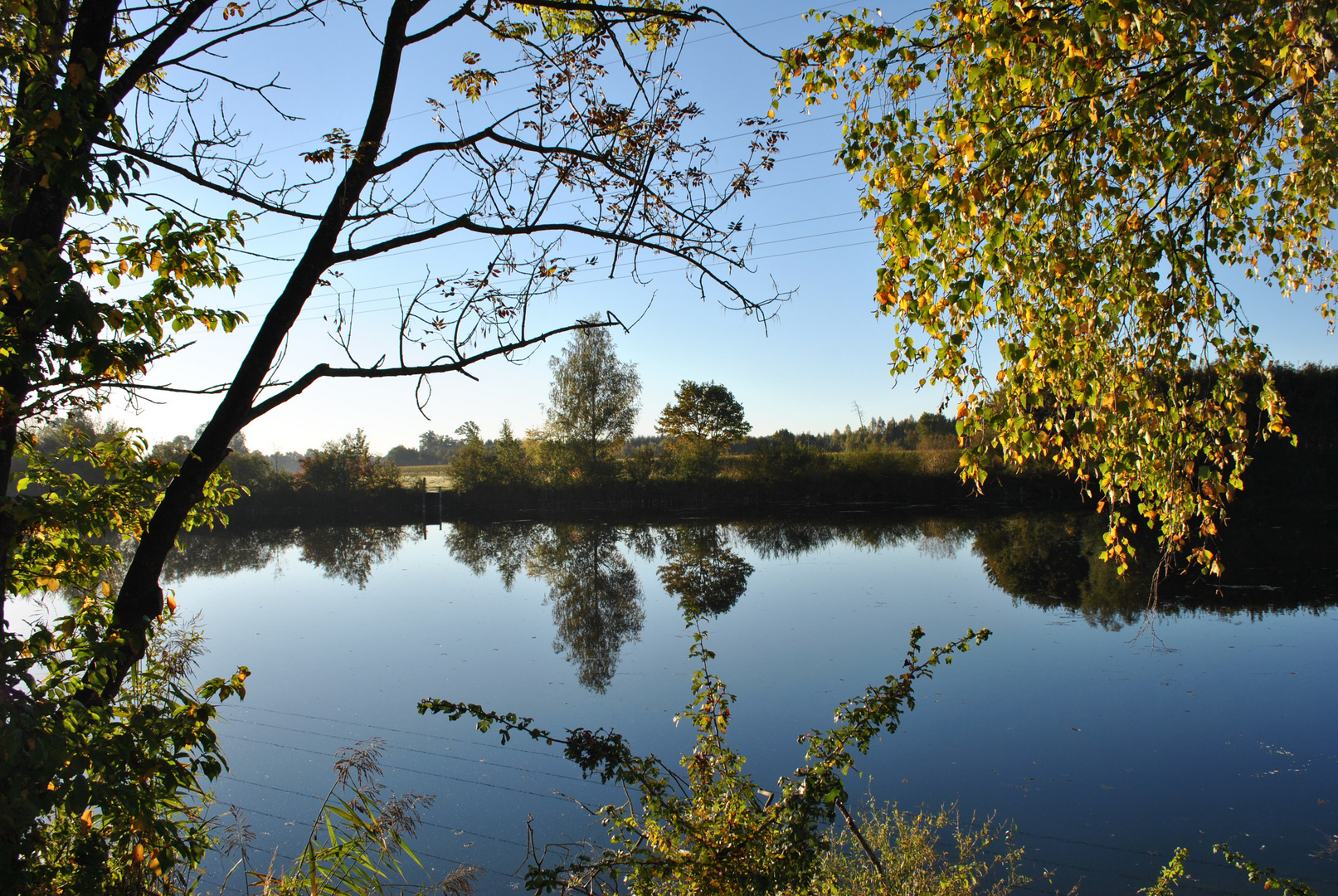 Herbsterwachen am Tümpel