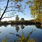 Herbsterwachen am Tümpel