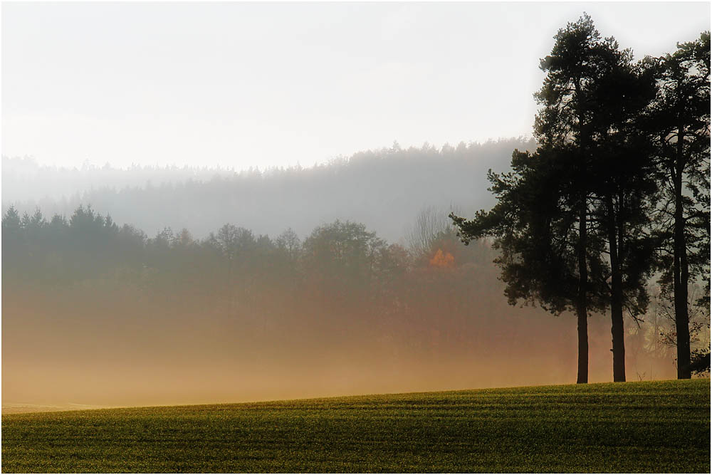 Herbsterwachen