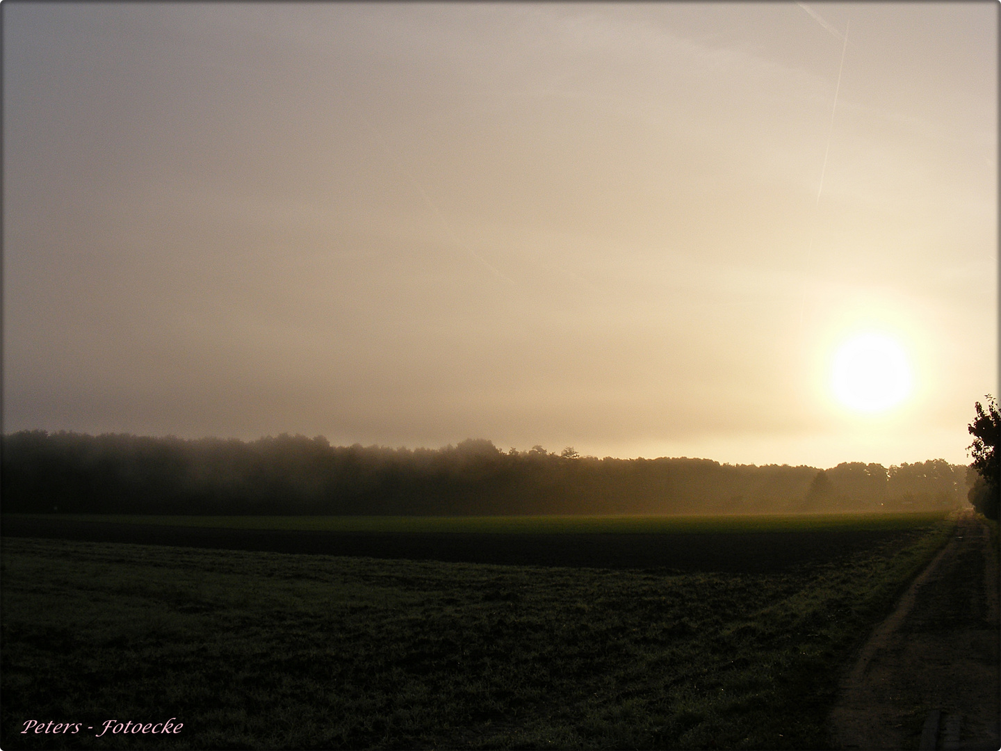 Herbsterwachen