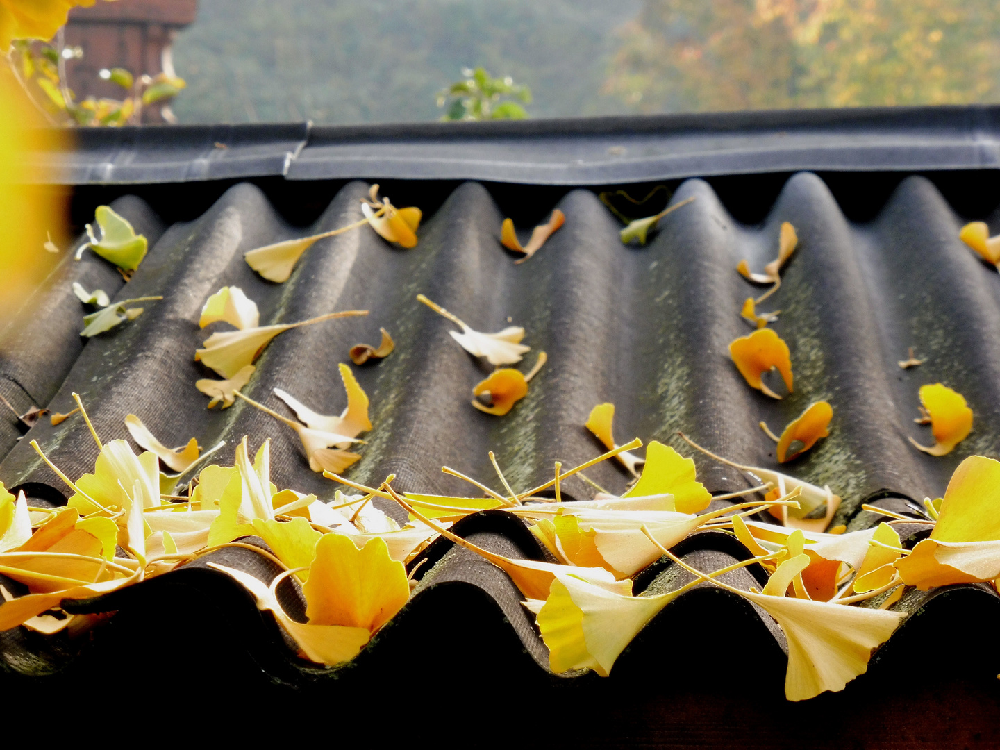 Herbsteszeit