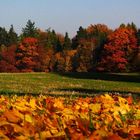 Herbstetüden 01