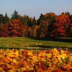 Herbstetüden 01