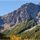 Herbstfärbung  2021-10-24  Brandnertal