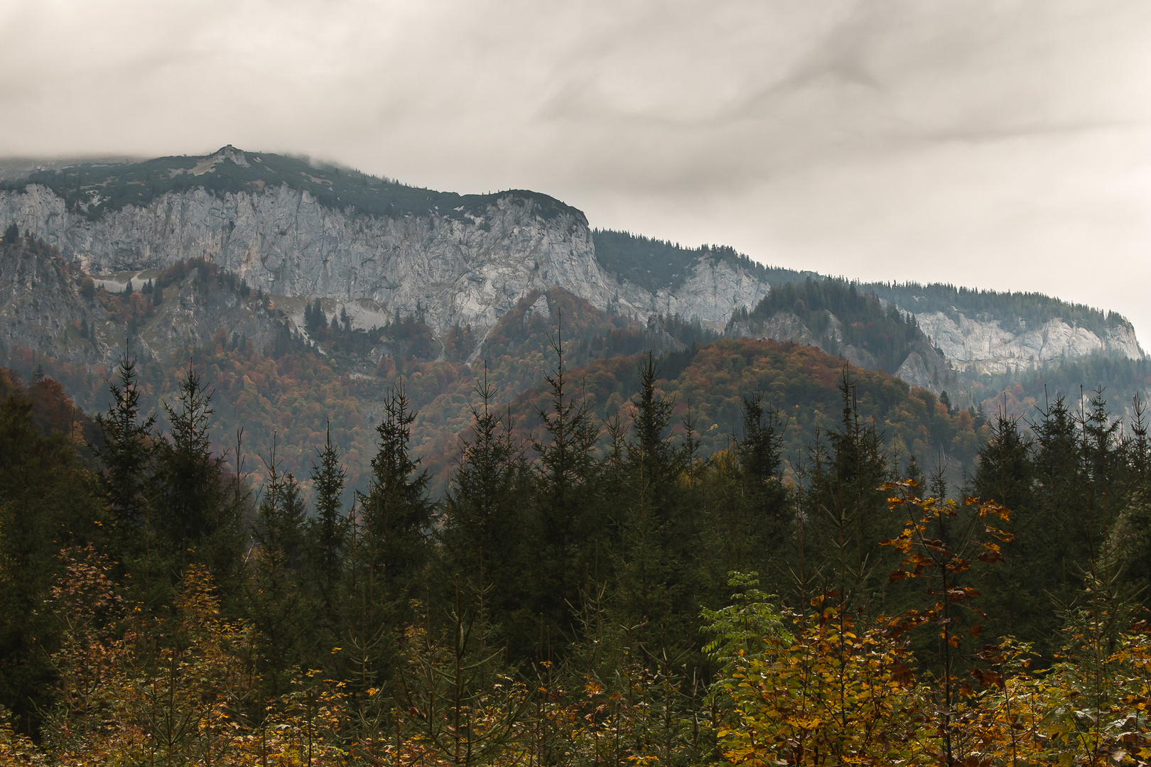 Herbstfärbung