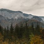 Herbstfärbung