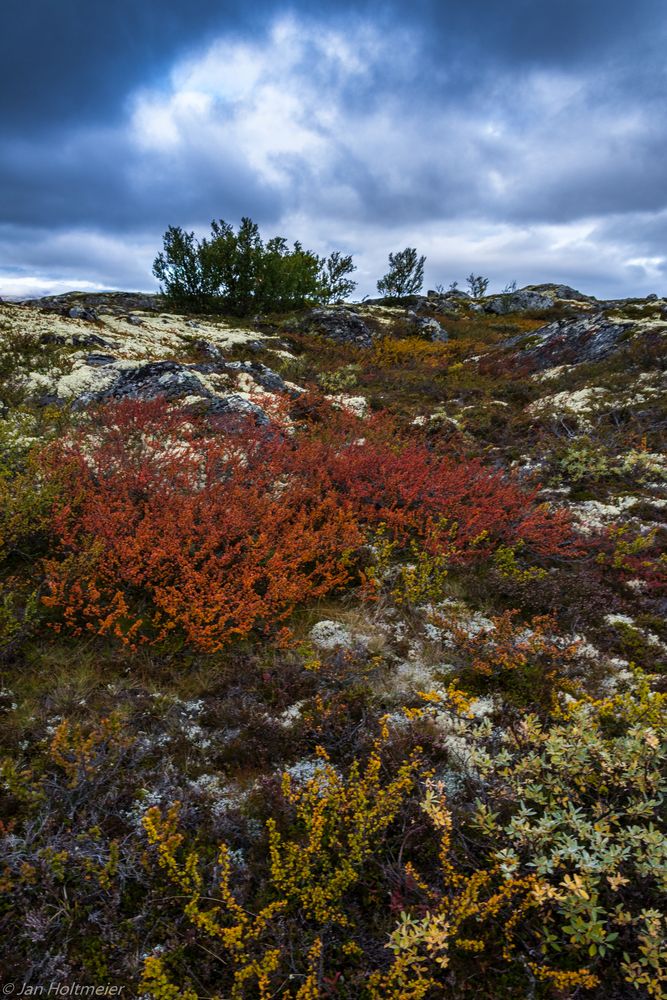 Herbstfärbung