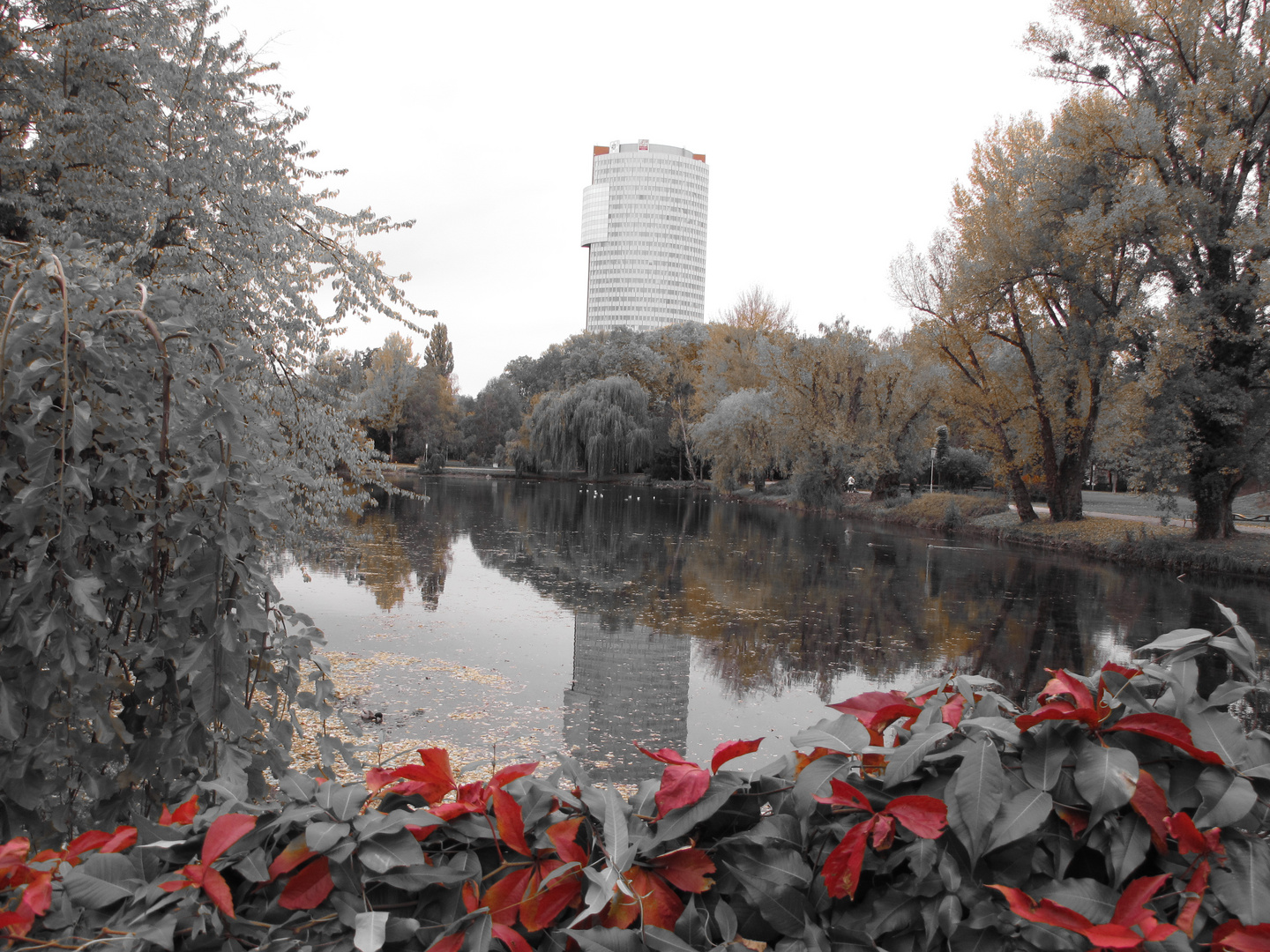 Herbstfärbung