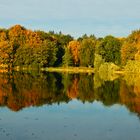 Herbstfärbung