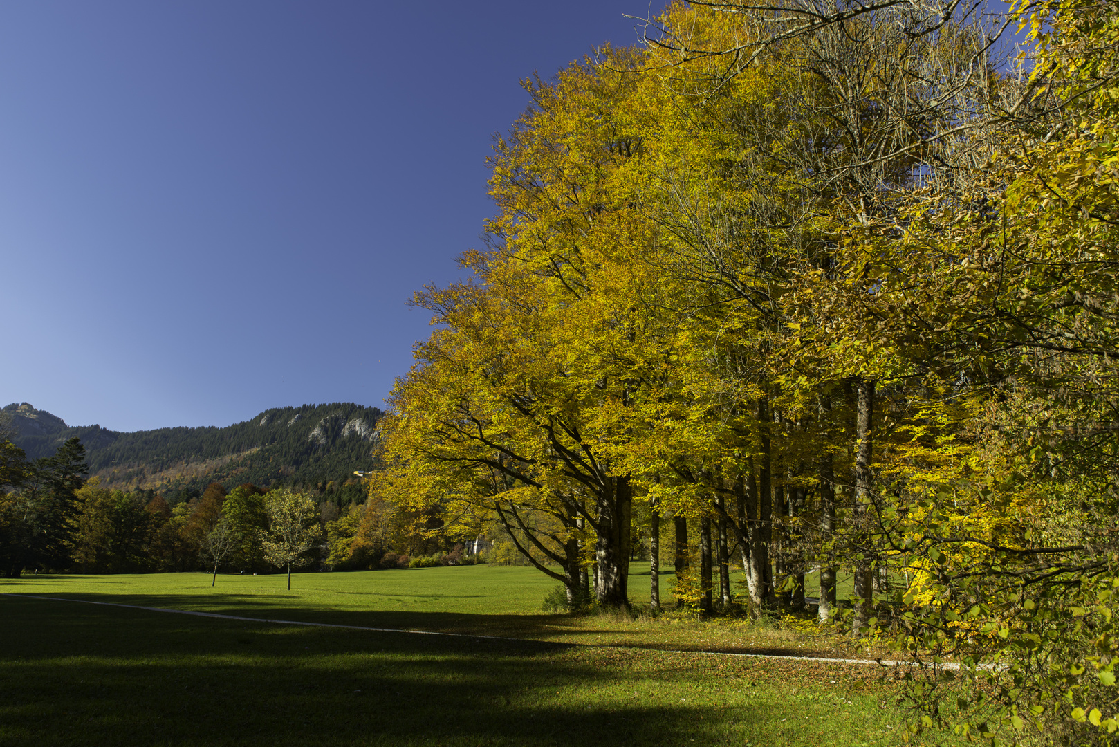 Herbstfärbung