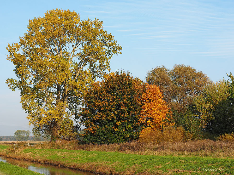 Herbstfärbung