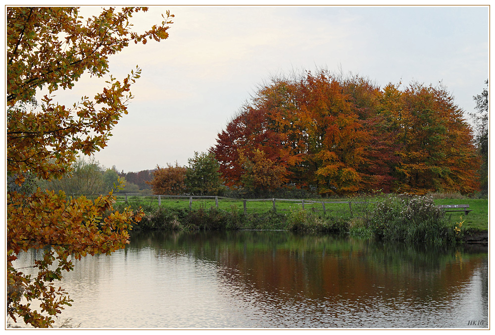 Herbstfärbung