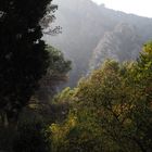 Herbstfärbung am Ambelos-Gebirge