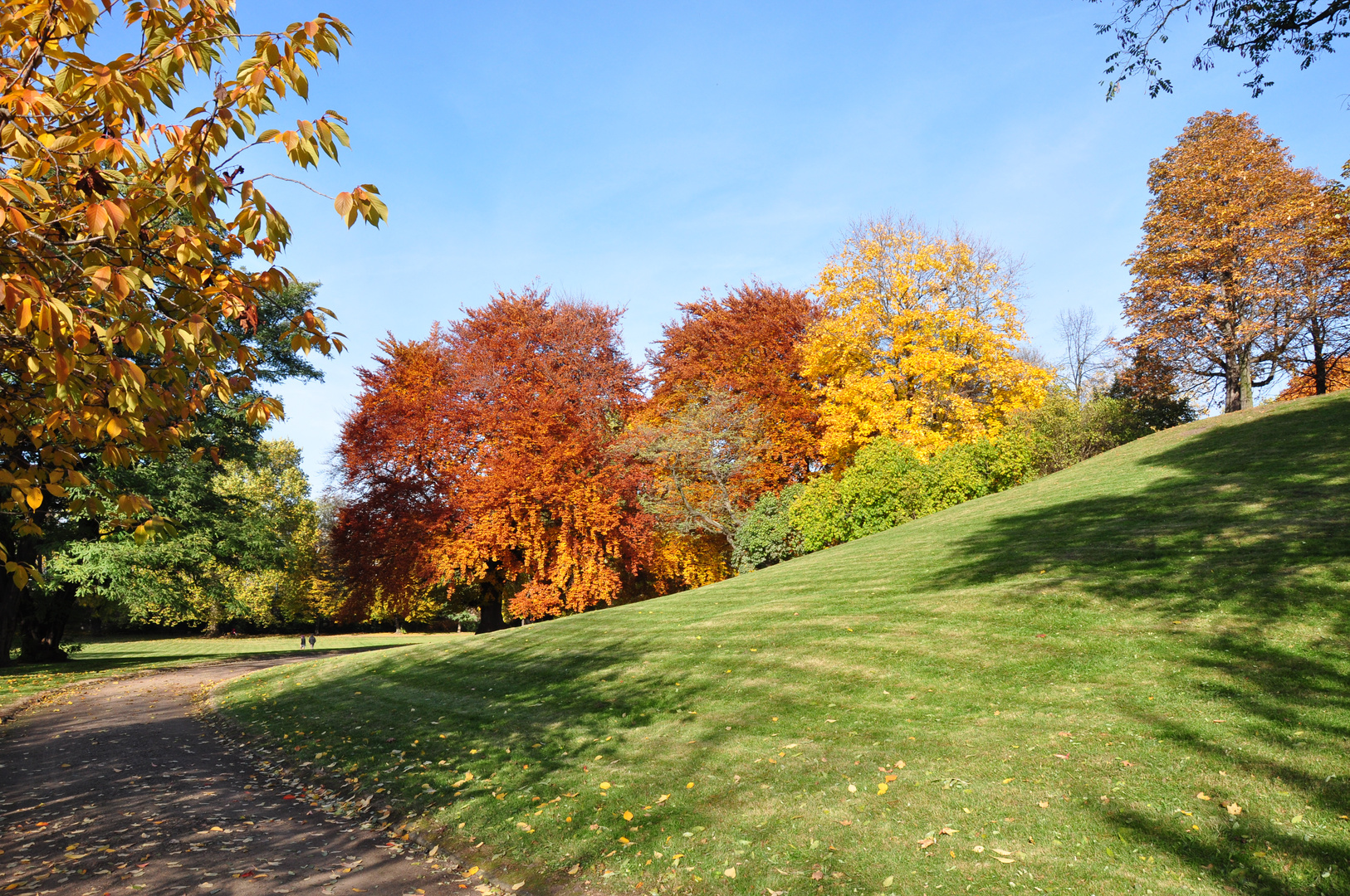 Herbstfärbung am Elbufer Dresden