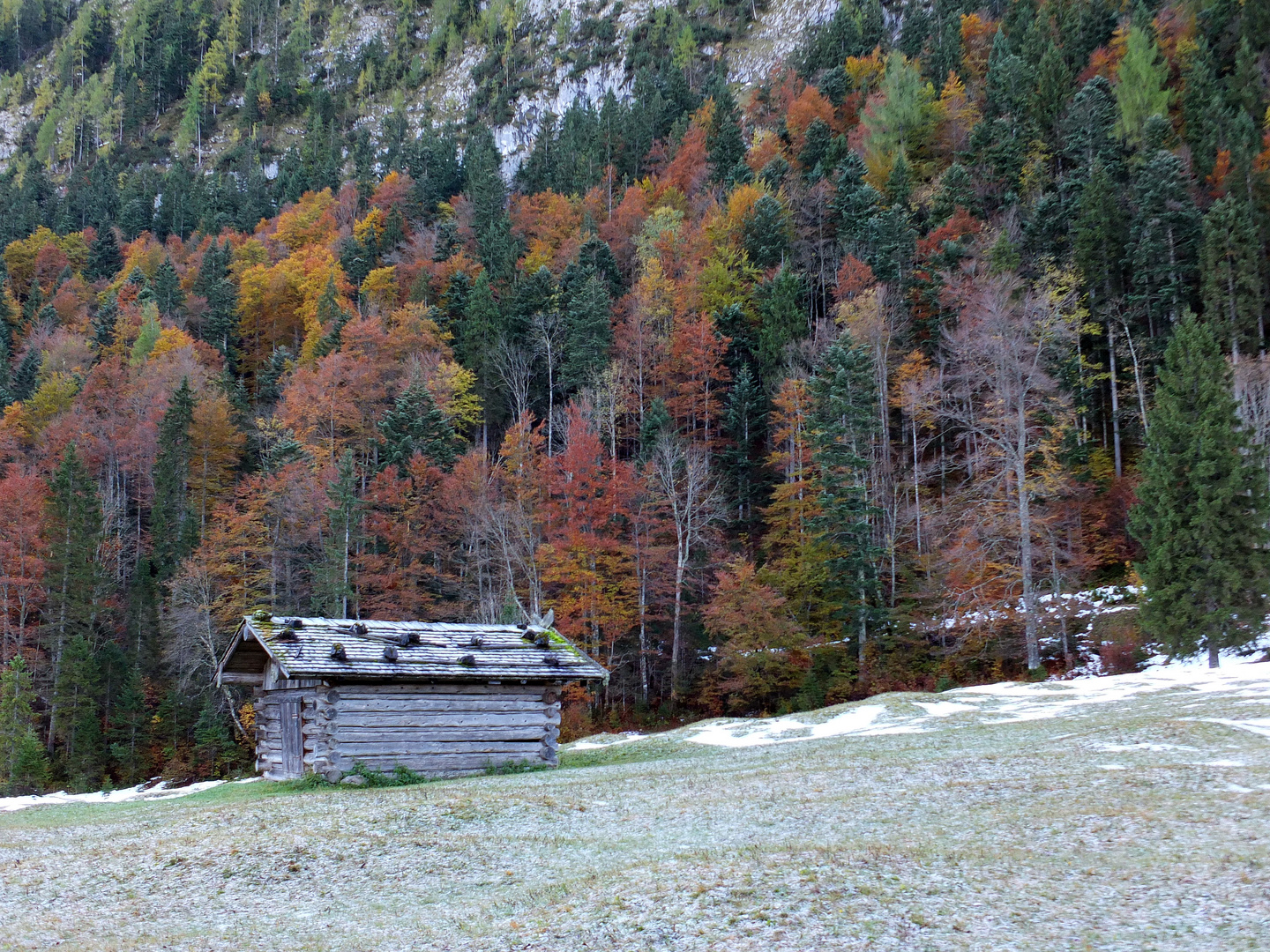 Herbstfärbung am Ferchensee