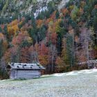 Herbstfärbung am Ferchensee