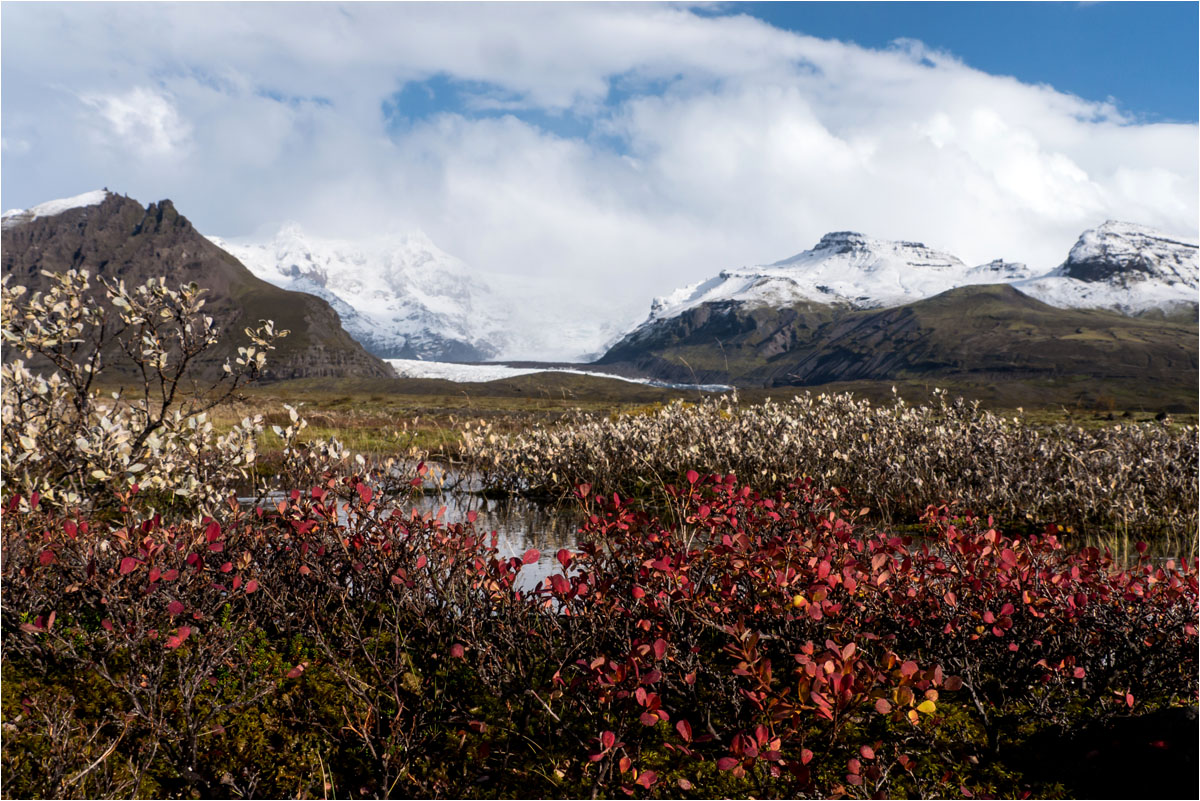 Herbstfärbung am Skaftafell....