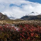 Herbstfärbung am Skaftafell....