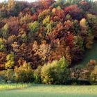 Herbstfärbung