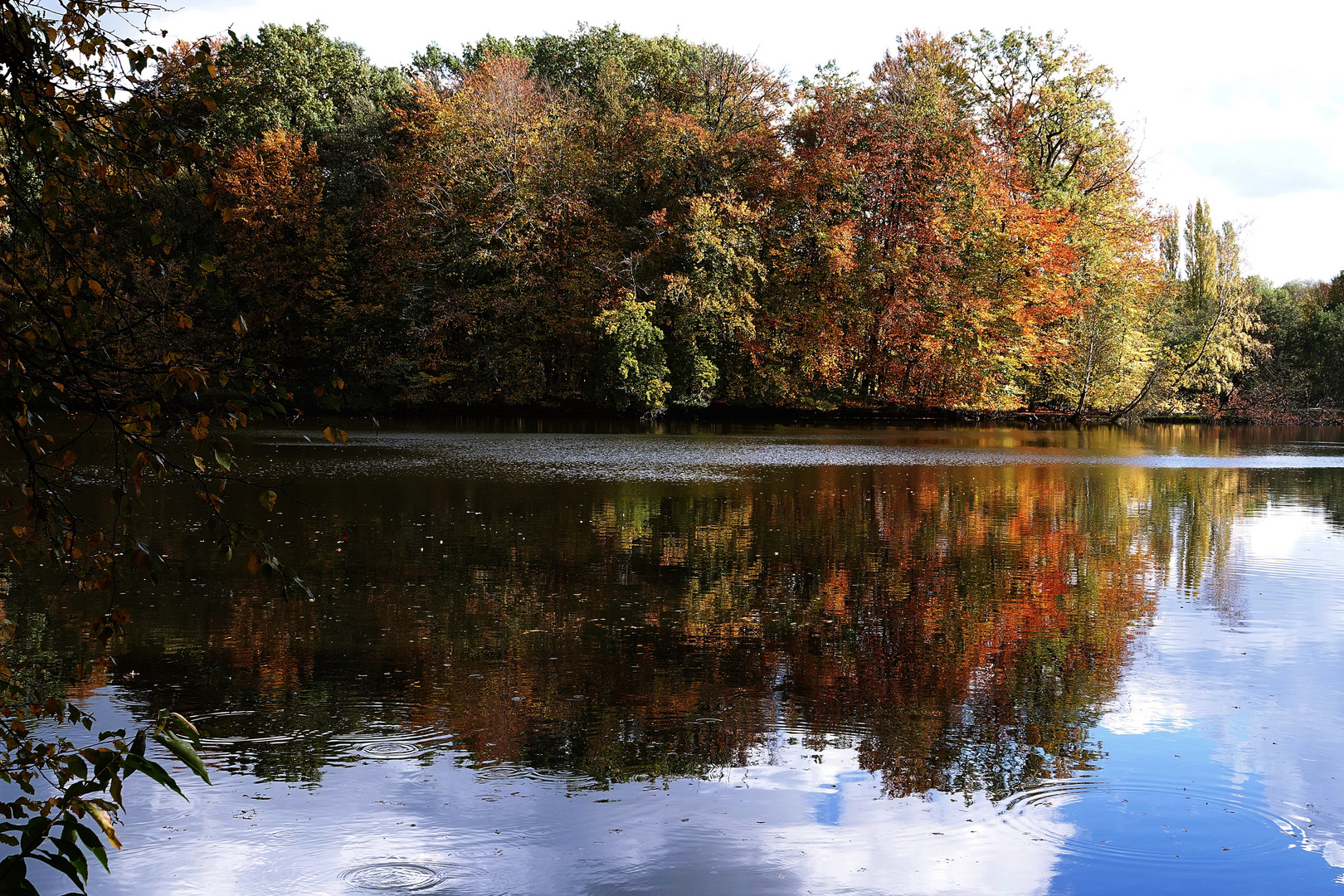 Herbstfärbung bis in den Teich