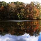 Herbstfärbung bis in den Teich