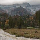 Herbstfärbung