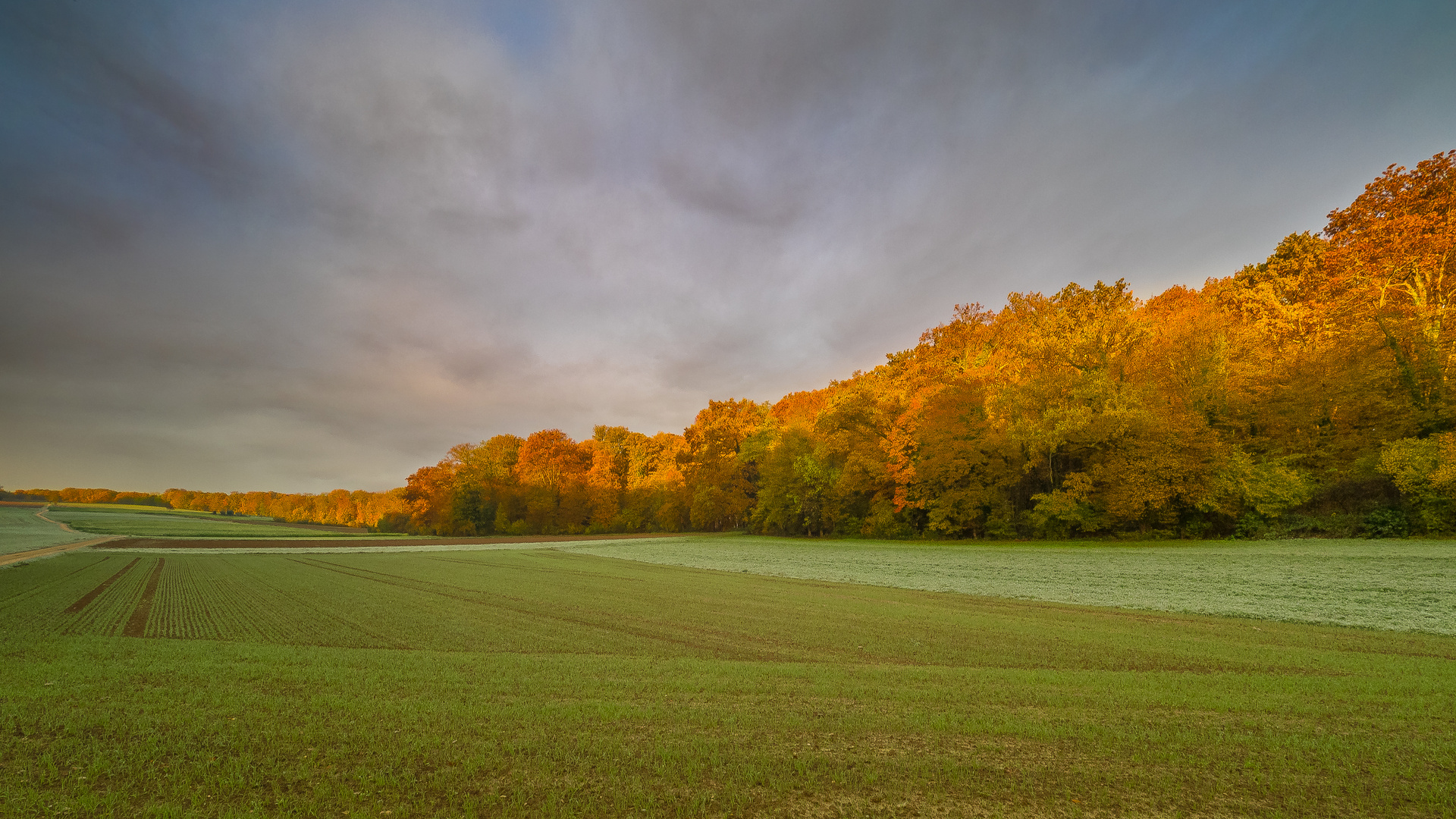 Herbstfärbung