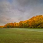 Herbstfärbung