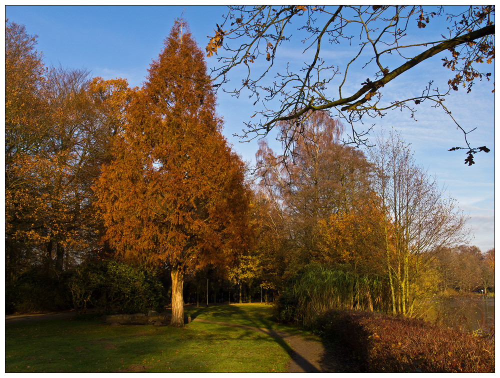 >> Herbstfärbung 