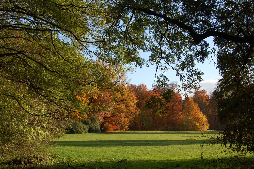 Herbstfärbung im Ludwigsluster Schlosspark