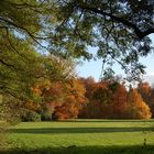 Herbstfärbung im Ludwigsluster Schlosspark