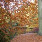 Herbstfärbung im Ludwigsluster Schlosspark